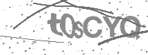 visual captcha